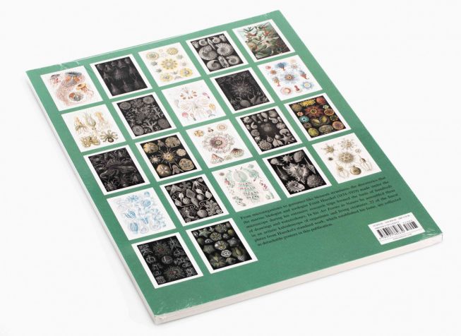 Ernst Haeckel illustrasjoner